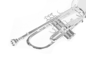 Roy Benson Trąbka w stroju Bb TR-202S