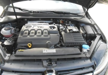 Volkswagen Golf VII Hatchback 3d Facelifting 1.6 TDI-CR DPF BMT 115KM 2019 Volkswagen Golf Volkswagen Golf VII 1.6 Diesel 115KM, zdjęcie 12