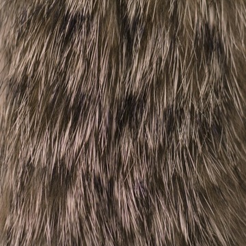 ZONKERY FD1203T LEMON YELLOW TIGER