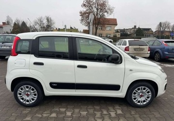 Fiat Panda III Hatchback 5d seria 3 1.2 69KM 2019 Fiat Panda Fiat Panda 1.2 StartampStop Pop 1.2 Benzyna 69KM, zdjęcie 4