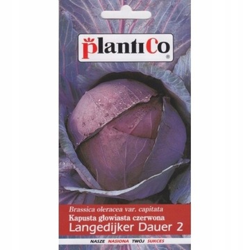 PlantiCo Kapusta czerwona Langedijker Dauer 2,4g
