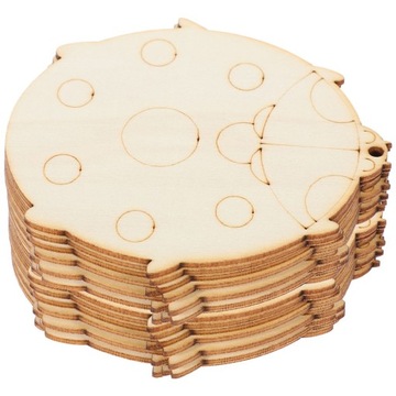 PODRĘCZNIK OWADÓW KARTONOWYCH Zrębków Drewnianych