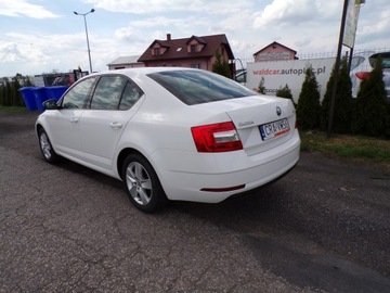 Skoda Octavia III Liftback Facelifting 1.6 TDI 115KM 2019 SKODA OCTAWIA 1.6 TDI 115 KM ZAREJESTROWANA, zdjęcie 6