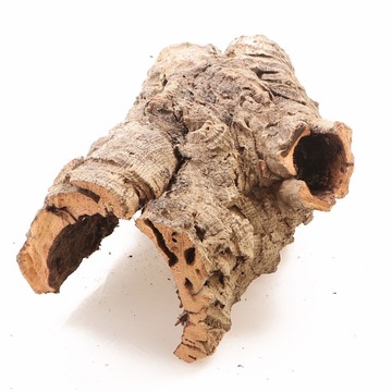 JEDYNA ODPORNA KORA NA WILGOĆ LAS W SŁOIKU SZKLE