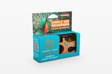 Lomography просто используйте камеру бирюзовый аналоговый аудит офиса