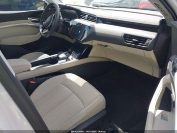 Audi Q8 2024 Audi Q8 E-TRON PREMIUM PLUS QUATTRO 2024, od ubezpieczalni Elektryczny, zdjęcie 6