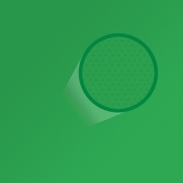 Установите Symlexstudio Greenscreen 2x65W 50x70