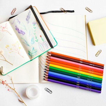 НАБОР ТРЕУГОЛЬНЫХ КАРАНДАШЕЙ BIC INTENSITY UP ДЛЯ ДЕТСКОЙ ШКОЛЫ x12