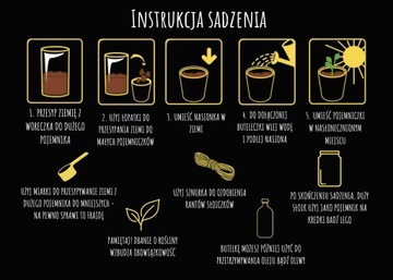 НАБОР МАЛЕНЬКОГО САДОВНИКА - ДЕТСКИЕ ИНСТРУМЕНТЫ ДЛЯ ПОСЕВА РАСТЕНИЙ - НАСТУРЦИЯ