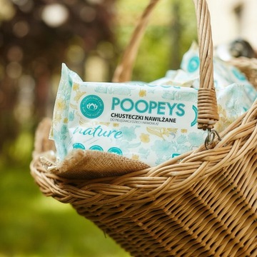 12 влажных салфеток Poopeys WET WIPES с пантенолом и алоэ, 97% воды, 864 шт.