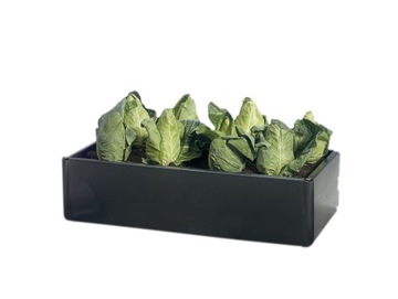 Грядка 115 л - Гирлянда