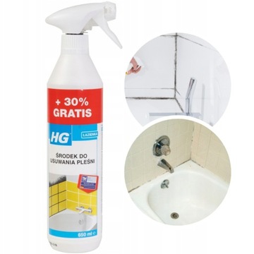 HG ŚRODEK DO USUWANIA PLEŚNI 650ML