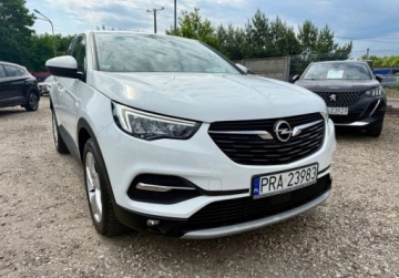 Opel 2021 Opel Grandland X 1.6TPlug-in HYBRID 31.000km 1.6 Hybryda Plug-in 224KM, zdjęcie 17