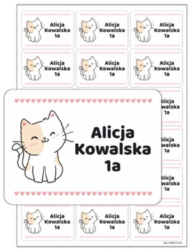 Naklejki imienne na zeszyty książki KOTEK