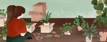 Грунт для Стрелиции Premium Dedicated Substrate 13л