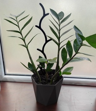 ПОДДЕРЖКА ДЛЯ ЦВЕТОВ ПЕРГОЛА ОРХИДЕЯ 37см