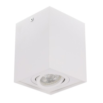 Oprawa NATYNKOWA ruchoma spot GU10 LED KOLORY