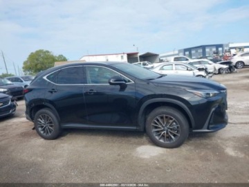 Lexus NX II 2026 Lexus NX 350 2026 2.4 Benzyna 275KM, zdjęcie 6