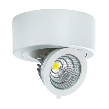 Spot sufitowy Struhm Igor 03126 LED 24H