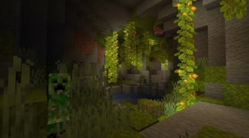 MINECRAFT JAVA & BEDROCK EDITION – ИГРА ДЛЯ ПК – ПОЛЬСКАЯ ВЕРСИЯ – КЛЮЧ + БЕСПЛАТНО