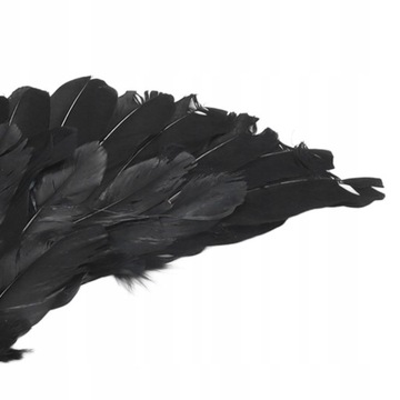 КОСТЮМ НИТЧ КРЫЛЬЯ АНГЕЛА КРЫЛЬЯ 78х37СМ