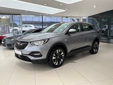 Opel 2020 Opel Grandland X Elite / 1 właściciel / Salon Pols