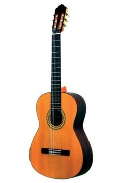 Esteve 6PS Классическая испанская гитара, мастерская