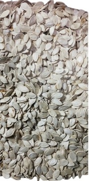 DYNIA PASZOWA 1KG KARMA