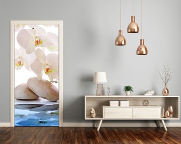 Okleina naklejka fototapeta na drzwi STORCZYK