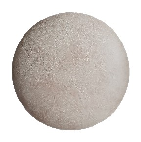 Siedzisko klon do krzesła wenus, tulipan 40 cm