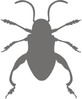 Отражатели, ЖЕЛЕЗНЫЕ НАШИВКИ, Черви, Веселая нашивка