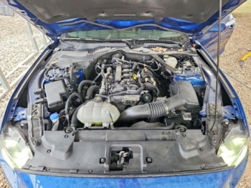 Ford Mustang VI 2022 Ford Mustang 2022r., 2.3L 2.3 Benzyna 310KM, zdjęcie 9