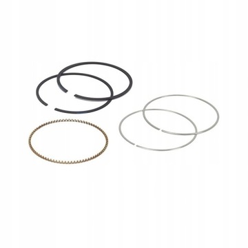 PIERŚCIENIE BRIGGS&STRATTON SERIA 400, 500