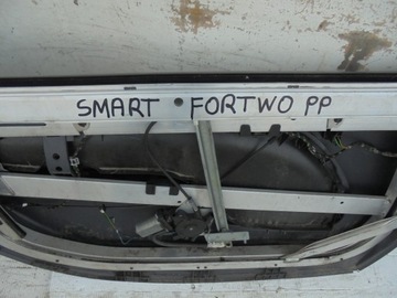DVEŘE LEM PRAVÝ PŘEDNÍ SMART FOURTWO I