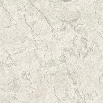 Tapeta Flizelina Mur Beton Tynk Z Brokatem Biała 9108-04