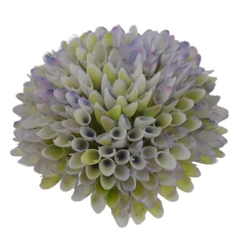 dalia główka plastikowa