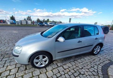 Volkswagen Golf V Hatchback 1.4 i 16V 75KM 2005 Volkswagen Golf 1.4 benz. Import z Niemiec, zdjęcie 2