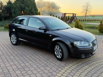 Audi A3 8P Hatchback 3d 1.6 102KM 2004 Audi A3 3-drzwiowe 1.6mpi 102KM Klima Alusy Grzane fotele Sprawdz 1.6, zdjęcie 10