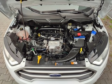 Ford Ecosport II SUV Facelifting 1.0 EcoBoost 125KM 2018 Ford EcoSport Ford EcoSport II Serwis ,lift, zdjęcie 12
