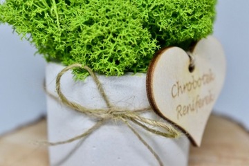 Раздражительный мини-лес в бетонном горшке