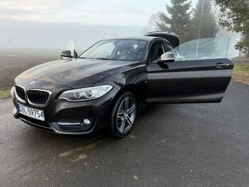 BMW Seria 2 F22-F23-F45-F46 Coupe 220i (Euro 6) 184KM 2016 BMW 220 2.0i 184KM 68tys.km. Navi Bezwypadkowy, zdjęcie 20
