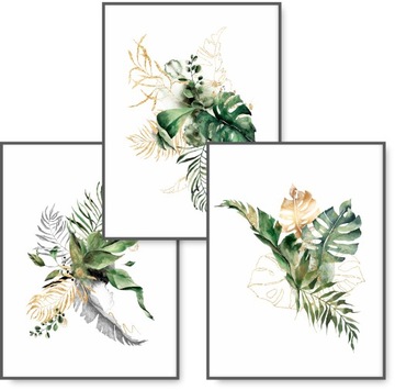 MONSTERA akwarela zestaw 3 plakaty 40x50 #98A