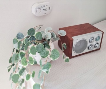 ДЕТЕКТОР УГАРНОГО УГРАДА ВЫСОКОКАЧЕСТВЕННЫЙ ДЕТЕКТОР УГАРНОГО УГРАДА ДАТЧИК 10 ЛЕТ