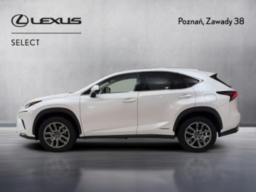 Lexus NX I SUV 300h 197KM 2017 Lexus NX 300h Comfort AWD I (2014-2021) Lexus NX 3, zdjęcie 4