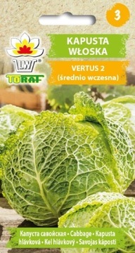 Kapusta włoska VERTUS 2 (średniowczesna) 2g TORAF