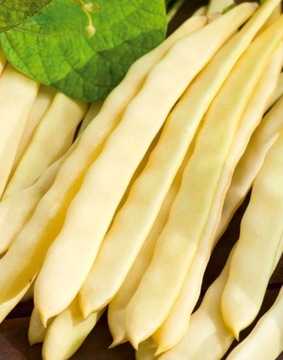 Fasola karłowa Mamutina 50g Polan
