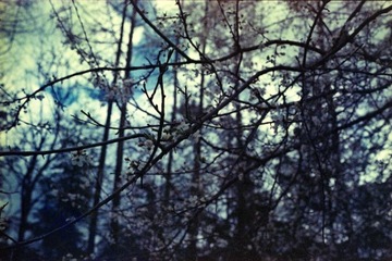 Фуджифильм Этерна 500 36эксп.