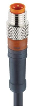 RSMV 3-224/2 m przewód złącze męskie M8 3-pin, LUMBERG