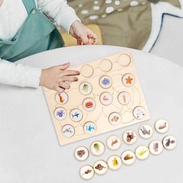 Поднос с жизненным циклом Монтессори, научные игрушки, соответствующие игры, головоломки, квадратные