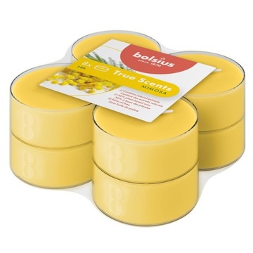 Świece Zapachowe Podgrzewacze Maxi lights BOLSIUS 8h MIMOZA 8 sztuk